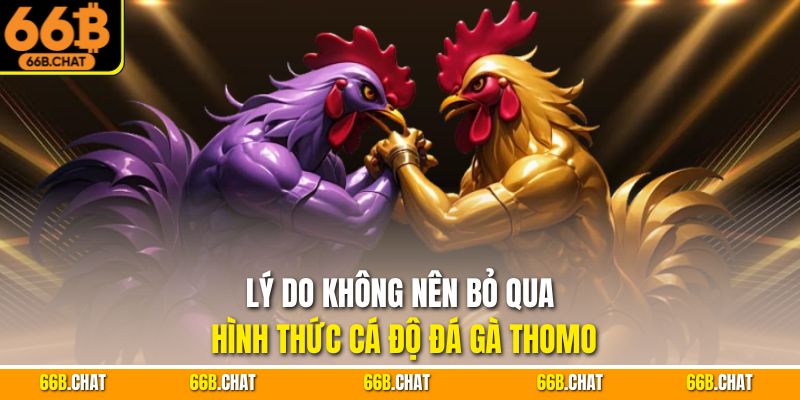 Lý do không nên bỏ qua hình thức cá độ đá gà Thomo